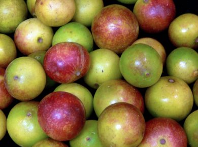 Camu Camu: die Vitamin C-Bombe