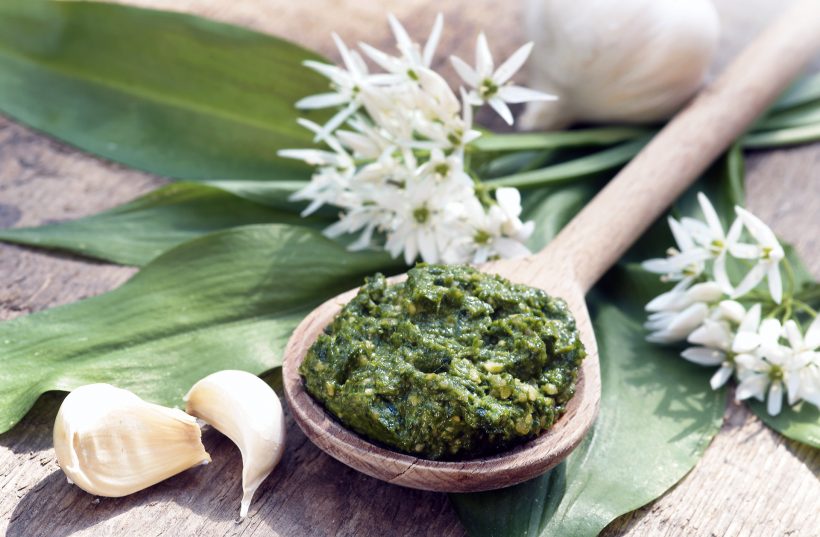 Bärlauch Pesto ohne Öl (HCLF & vegan)