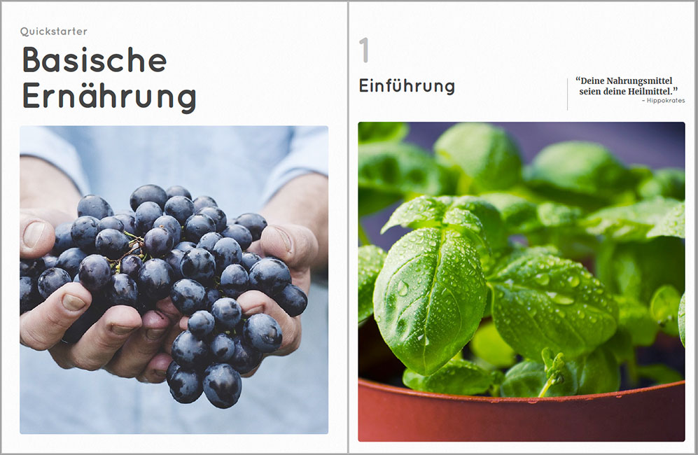 E-Book: Basische Ernährung