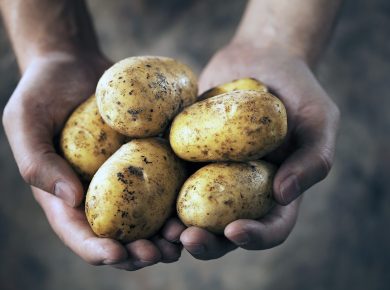 Sind Kartoffeln gesund?