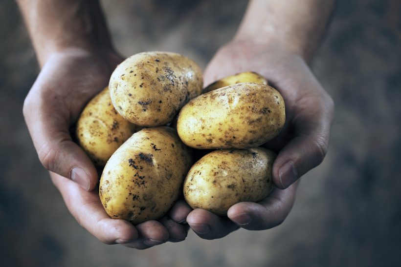 Sind Kartoffeln gesund?