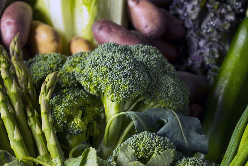 Pflanzliche Ernährung: die 10 Nahrungsmittelgruppen