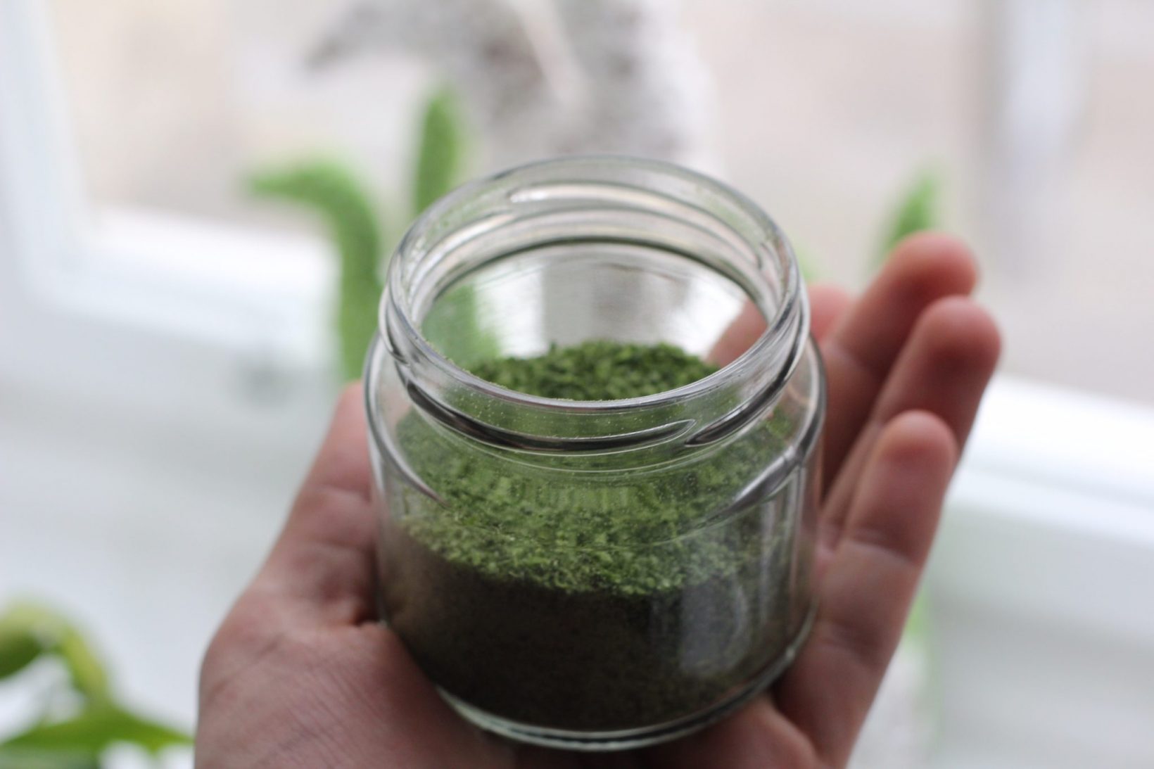 Bärlauchsalz selber machen (roh vegan) • Healthy Rockstar